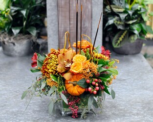 Golden Memories Upper Darby Polites Florist, Springfield Polites Florist