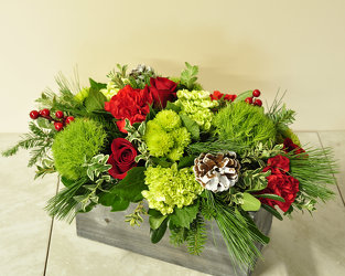 Good Tidings Upper Darby Polites Florist, Springfield Polites Florist