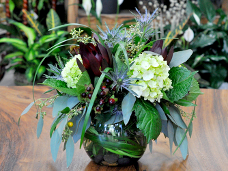 Gorgeous In Green Upper Darby Polites Florist, Springfield Polites Florist