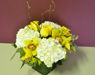 Graceful Beauty Upper Darby Polites Florist, Springfield Polites Florist