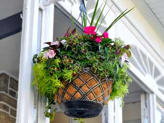 Hanging Basket Upper Darby Polites Florist, Springfield Polites Florist