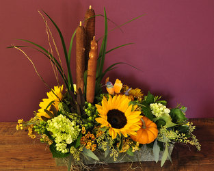 Harvest Moon Upper Darby Polites Florist, Springfield Polites Florist