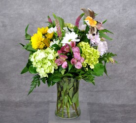 Hummingbird Garden Upper Darby Polites Florist, Springfield Polites Florist