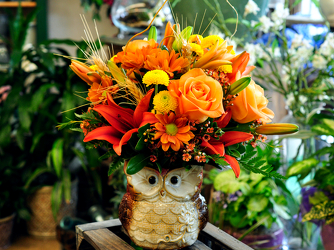 It's A Hoot Upper Darby Polites Florist, Springfield Polites Florist