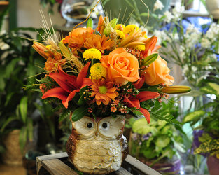 It's A Hoot Upper Darby Polites Florist, Springfield Polites Florist