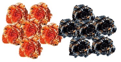 Trick or Treat Roses Upper Darby Polites Florist, Springfield Polites Florist
