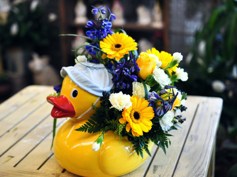 Just Ducky - Blue Upper Darby Polites Florist, Springfield Polites Florist