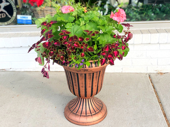 Patio Planter in Urn Upper Darby Polites Florist, Springfield Polites Florist