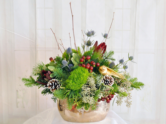 Making Spirits Bright Upper Darby Polites Florist, Springfield Polites Florist