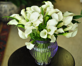 Mini Calla Lily Upper Darby Polites Florist, Springfield Polites Florist