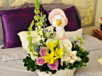 Mother Goose Upper Darby Polites Florist, Springfield Polites Florist