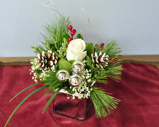 Noel Upper Darby Polites Florist, Springfield Polites Florist