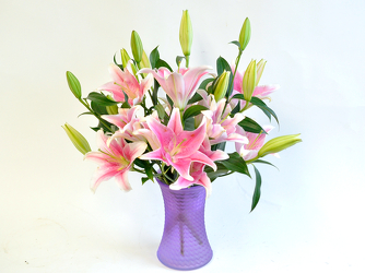 Oasis of Lilies Upper Darby Polites Florist, Springfield Polites Florist