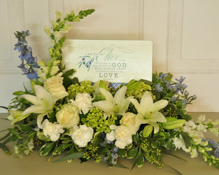Olive Tree Upper Darby Polites Florist, Springfield Polites Florist