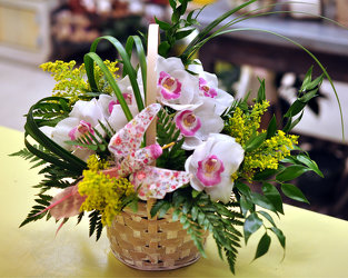 Orchid Basket Upper Darby Polites Florist, Springfield Polites Florist
