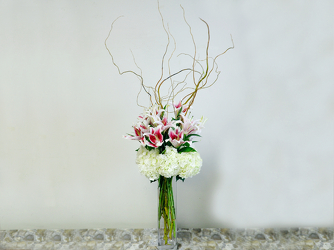 Parisian Boulevard Upper Darby Polites Florist, Springfield Polites Florist