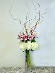 Parisian Boulevard Upper Darby Polites Florist, Springfield Polites Florist
