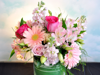 Passionately Pink Upper Darby Polites Florist, Springfield Polites Florist