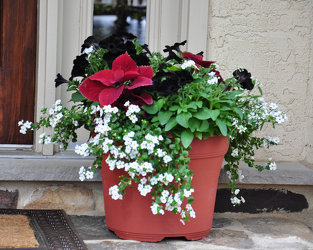 Patio Planters Patio Planters