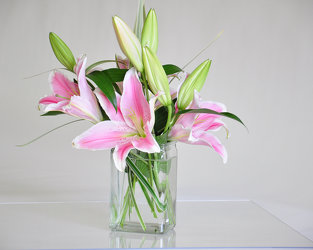 Pink Lily Bouquet Upper Darby Polites Florist, Springfield Polites Florist