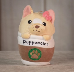 Puppuccino Upper Darby Polites Florist, Springfield Polites Florist