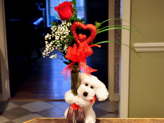 Puppy Love Upper Darby Polites Florist, Springfield Polites Florist