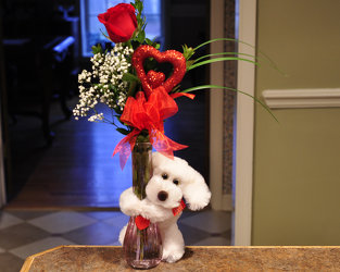 Puppy Love Upper Darby Polites Florist, Springfield Polites Florist