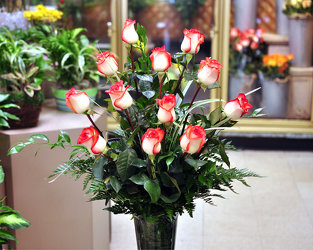 Rose-Novelty color 