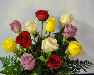 A Dozen Assorted Roses  Upper Darby Polites Florist, Springfield Polites Florist