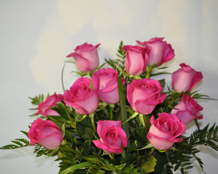 A Dozen Fuchsia Colored Roses Upper Darby Polites Florist, Springfield Polites Florist