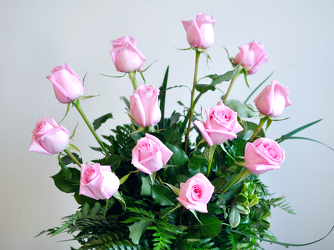 A Dozen Light Pink Roses Upper Darby Polites Florist, Springfield Polites Florist
