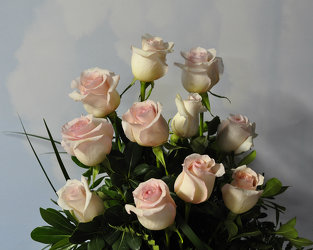 A Dozen Light Pink Roses Upper Darby Polites Florist, Springfield Polites Florist