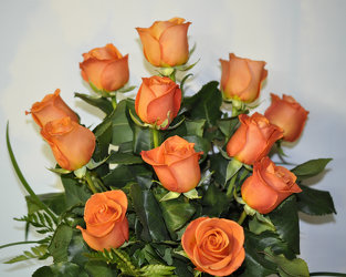 A Dozen Orange Roses Upper Darby Polites Florist, Springfield Polites Florist