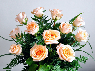 A Dozen Peach Roses Upper Darby Polites Florist, Springfield Polites Florist