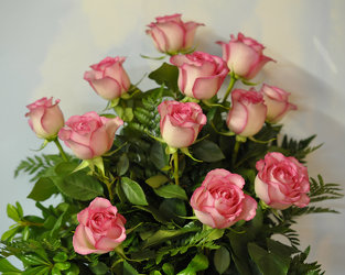 A Dozen Pink Roses Upper Darby Polites Florist, Springfield Polites Florist