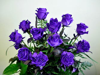 A Dozen Purple Roses Upper Darby Polites Florist, Springfield Polites Florist