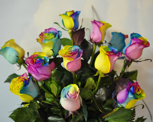 A Dozen Rainbow Roses Upper Darby Polites Florist, Springfield Polites Florist