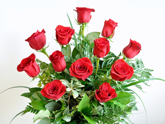 A Dozen Red Roses Upper Darby Polites Florist, Springfield Polites Florist
