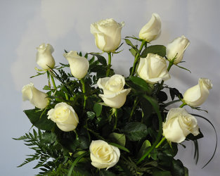A Dozen White Roses Upper Darby Polites Florist, Springfield Polites Florist