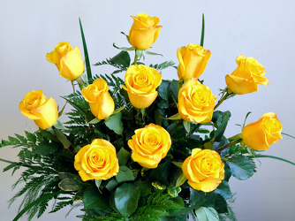 A Dozen Yellow Roses Upper Darby Polites Florist, Springfield Polites Florist