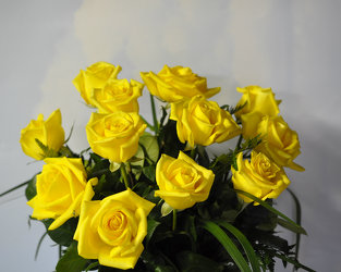 A Dozen Yellow Roses Upper Darby Polites Florist, Springfield Polites Florist