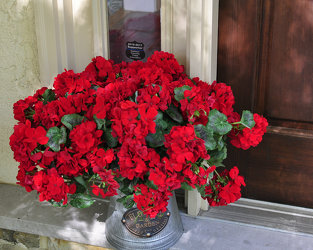 Red Geraniums in Galvanized Tin Upper Darby Polites Florist, Springfield Polites Florist
