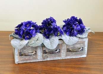 Silk Violets in Drawer Upper Darby Polites Florist, Springfield Polites Florist