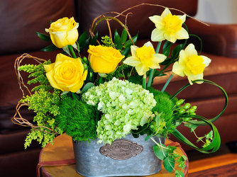 Spring Surprise Upper Darby Polites Florist, Springfield Polites Florist