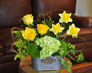 Spring Surprise Upper Darby Polites Florist, Springfield Polites Florist