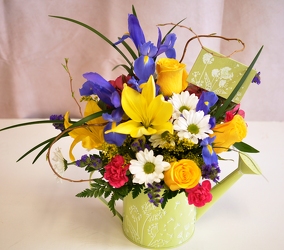 Sprinkles of Sunshine