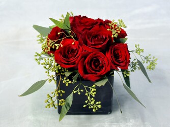 Sultry Upper Darby Polites Florist, Springfield Polites Florist