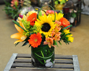 Summer Siesta Upper Darby Polites Florist, Springfield Polites Florist