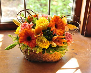 Summer Sunset Upper Darby Polites Florist, Springfield Polites Florist