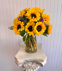 Sunflowers  Upper Darby Polites Florist, Springfield Polites Florist